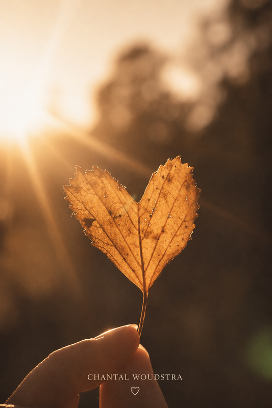Liefdes Inzicht Reading – 3 vragen
